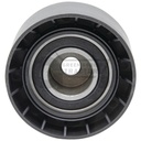 Tensioner Pulley (2)