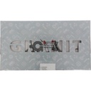 Cylinder head gasket (2)