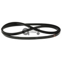 Fan Belt (2)