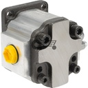 Hydraulic pump (2)