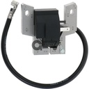 Ignition coil (3)
