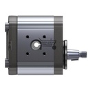 Hydraulic pump (5)