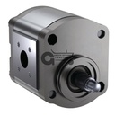 Hydraulic pump (6)