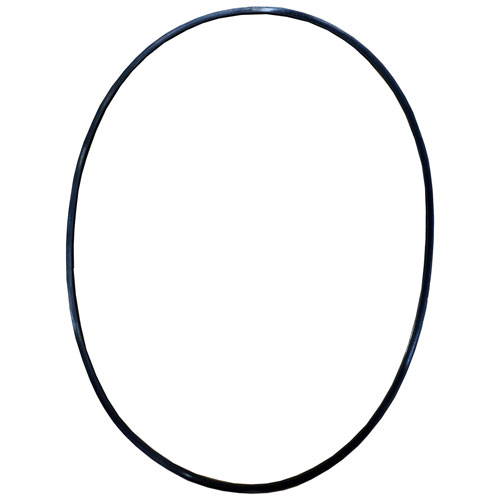 Back Up Ring