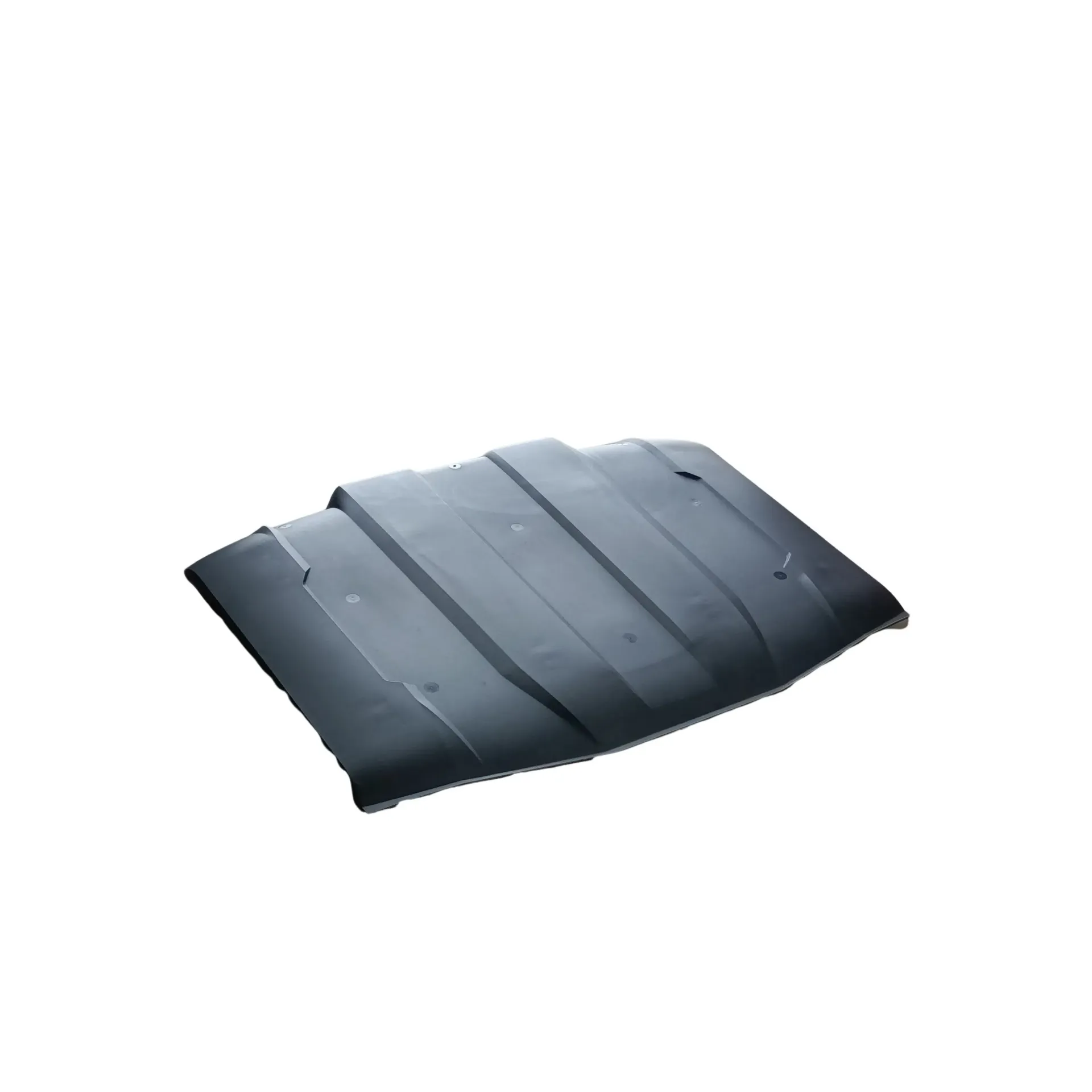 Canopy Roof