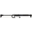 Gas strut