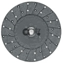 Clutch plate 300
