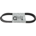 V-belt