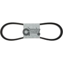 V-belt