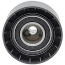 Tensioner Pulley