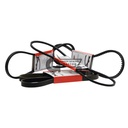 Fan Belt
