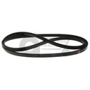 Fan Belt