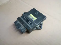 Electronic Control Unit