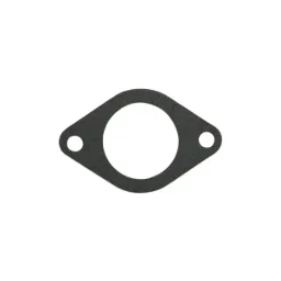 Thermostat Cover Gasket