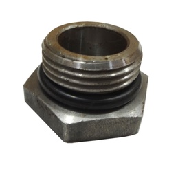 Pump, Hydraulic, Inlet Valve, Plug