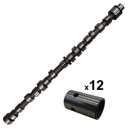 Camshaft & Lifter Kit