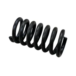 Clutch Spring