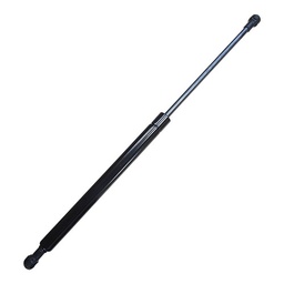 Door Strut