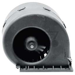 Fan motor