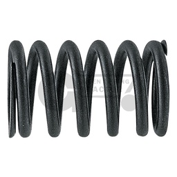 Valve spring
