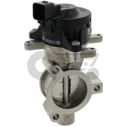 EGR valve