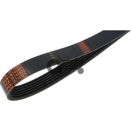 V-belt