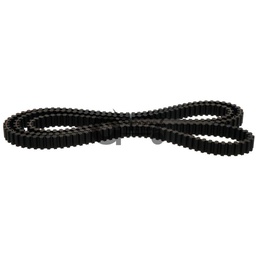 Toothed belt