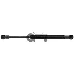 Gas strut