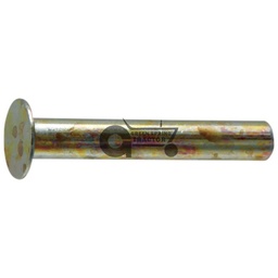 Rivet
