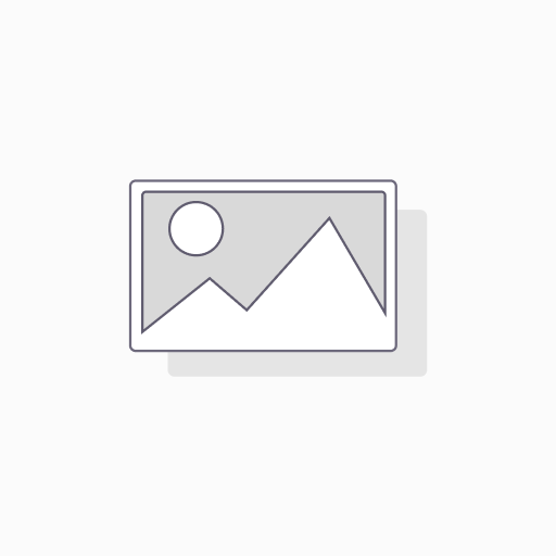 [JDAL66391N] Park brake pad